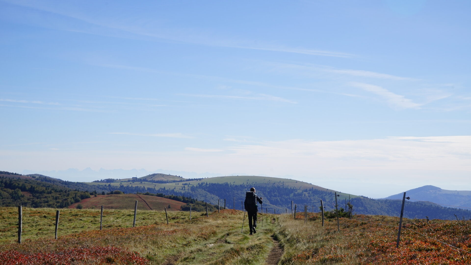 Jan 5 Dagen Offline In De Bossen Van Frankrijk